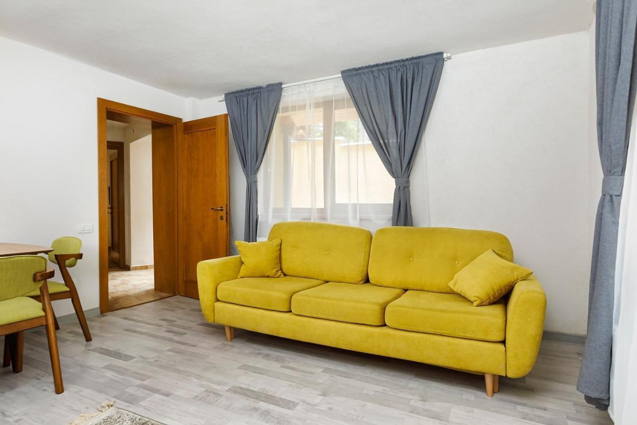 Aki Gray Apartment Braşov Dış mekan fotoğraf