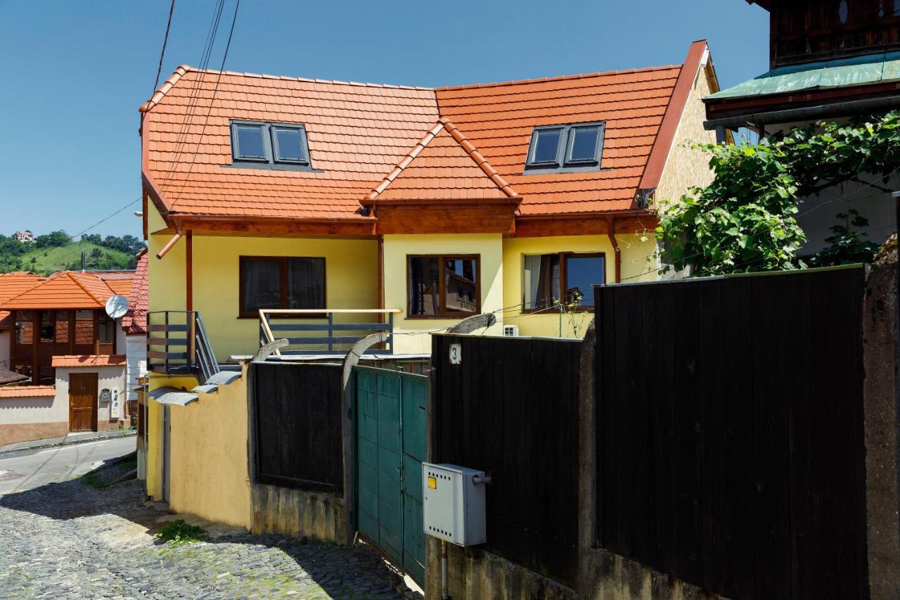 Aki Gray Apartment Braşov Dış mekan fotoğraf