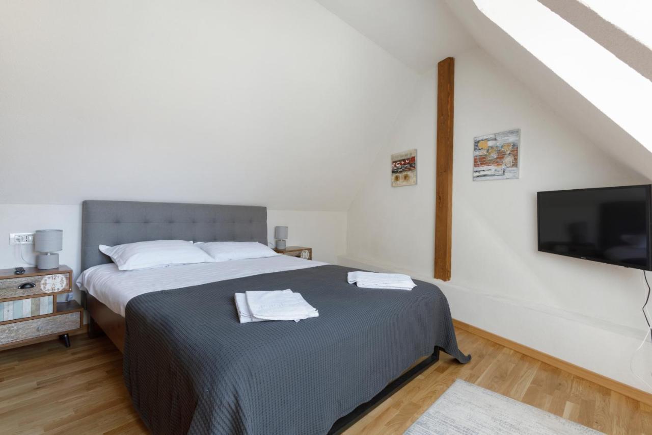 Aki Gray Apartment Braşov Dış mekan fotoğraf