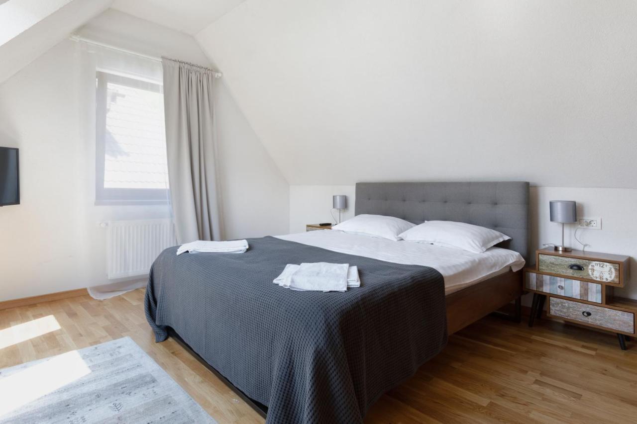 Aki Gray Apartment Braşov Dış mekan fotoğraf
