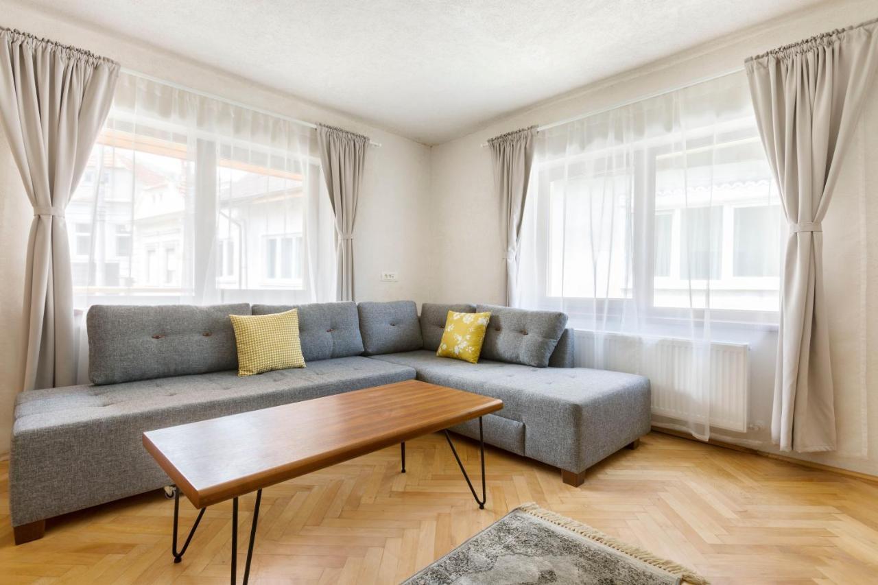 Aki Gray Apartment Braşov Dış mekan fotoğraf