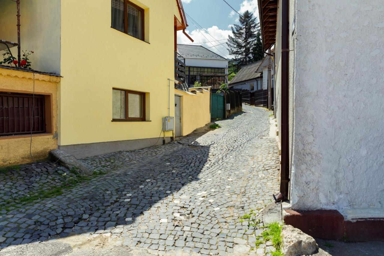 Aki Gray Apartment Braşov Dış mekan fotoğraf