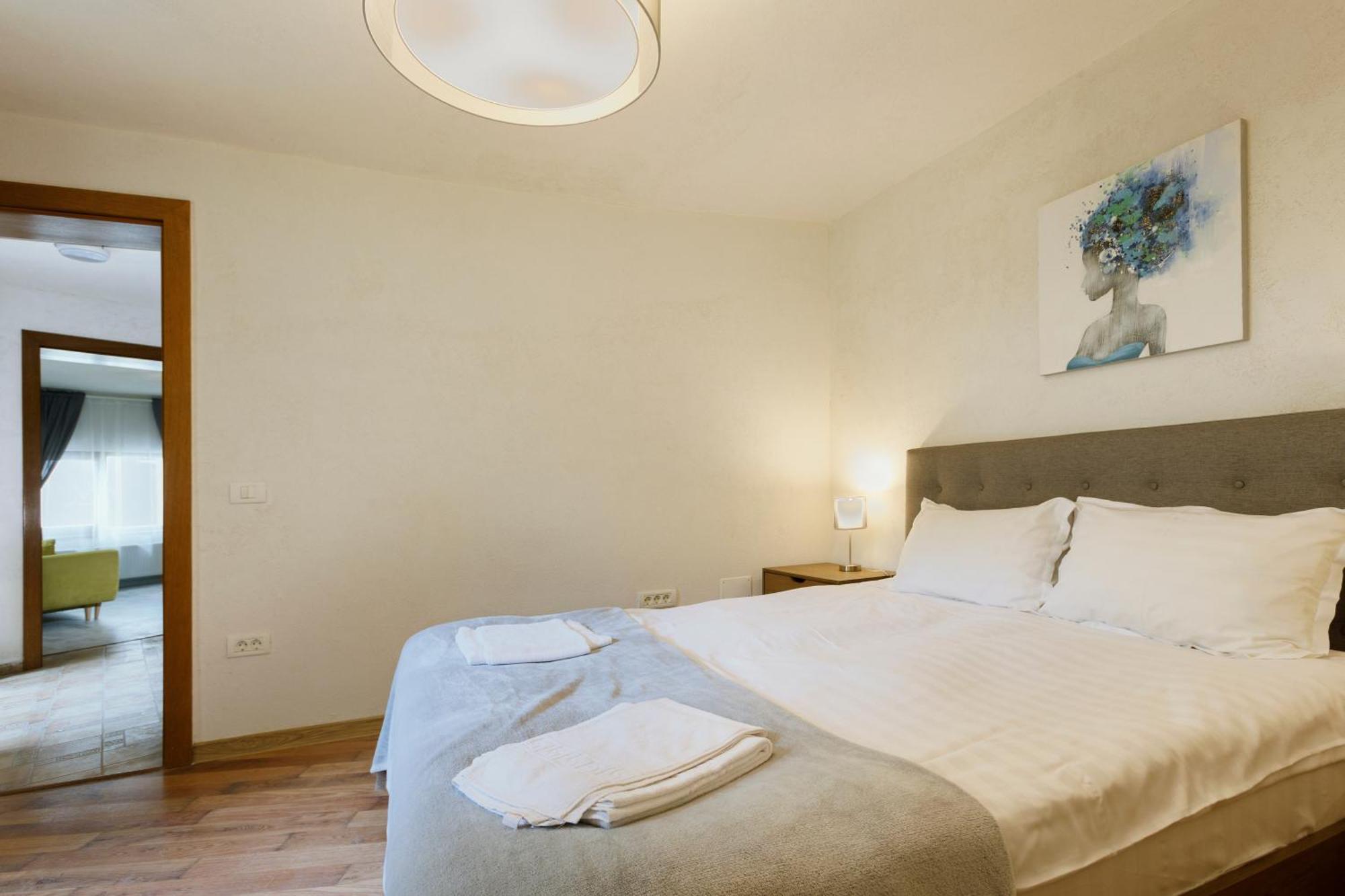 Aki Gray Apartment Braşov Dış mekan fotoğraf